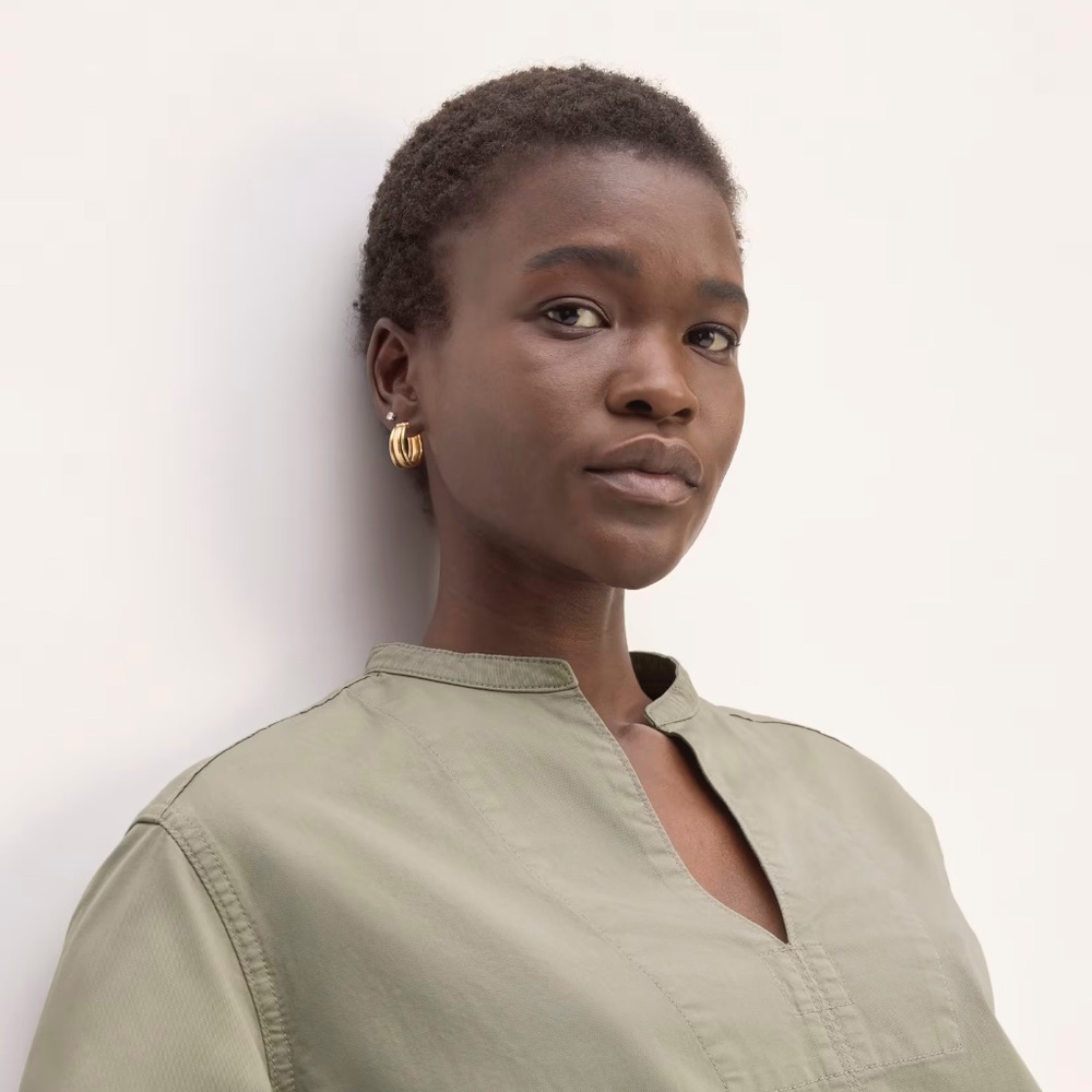 Everlane‎ Utility Dress